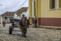 transport