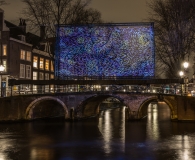 Starry Nicht