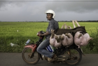 Zwaar Transport