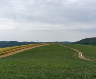 op weg naar Château des Milandes