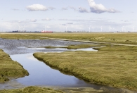 geulen aan de Dollard