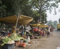 India 2017-41