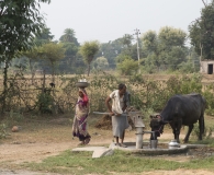 India 2017-42
