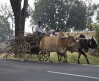 India 2017-43