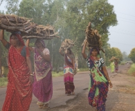 India 2017-53
