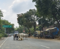 India 2017-59