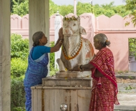India 2017-63