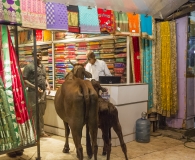 India 2017-71
