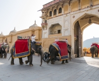 India 2017-9