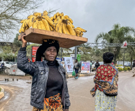 transportation of bananas to the market