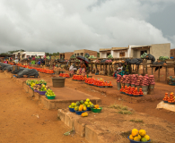 Fruit Market