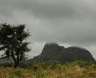 Elephant mountain