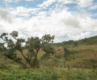 Malawi-mei-2025-20