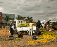 delivery of oranges