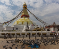 India 2017-107
