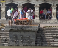 India 2017-110