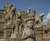 India 2017-118