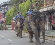India 2017-91
