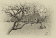 Drentse boerderij