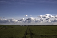 Tractorspoor
