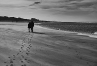our path beside the shore