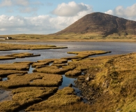 the work of the tide