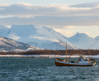 Tromso-2024-11