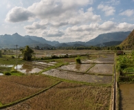 rise field